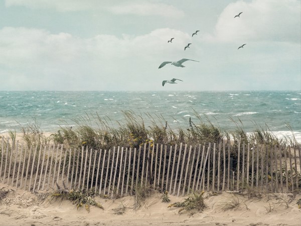 Cape Cod