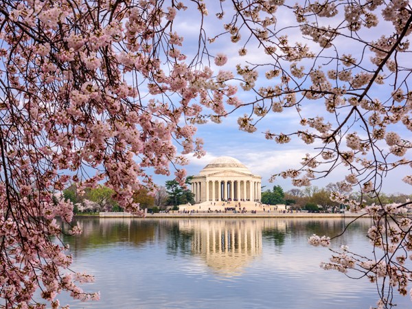 Springtime in Washington, D.C.