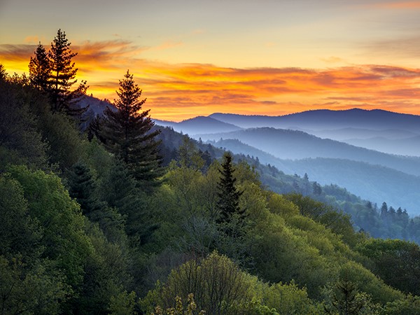 Spring In The Smokies