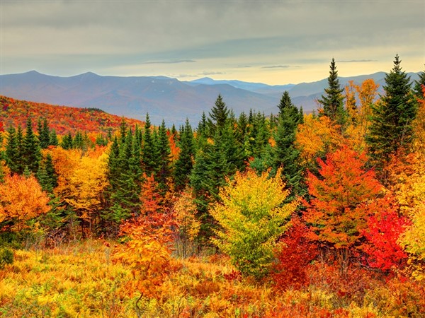 New England Fall Foliage